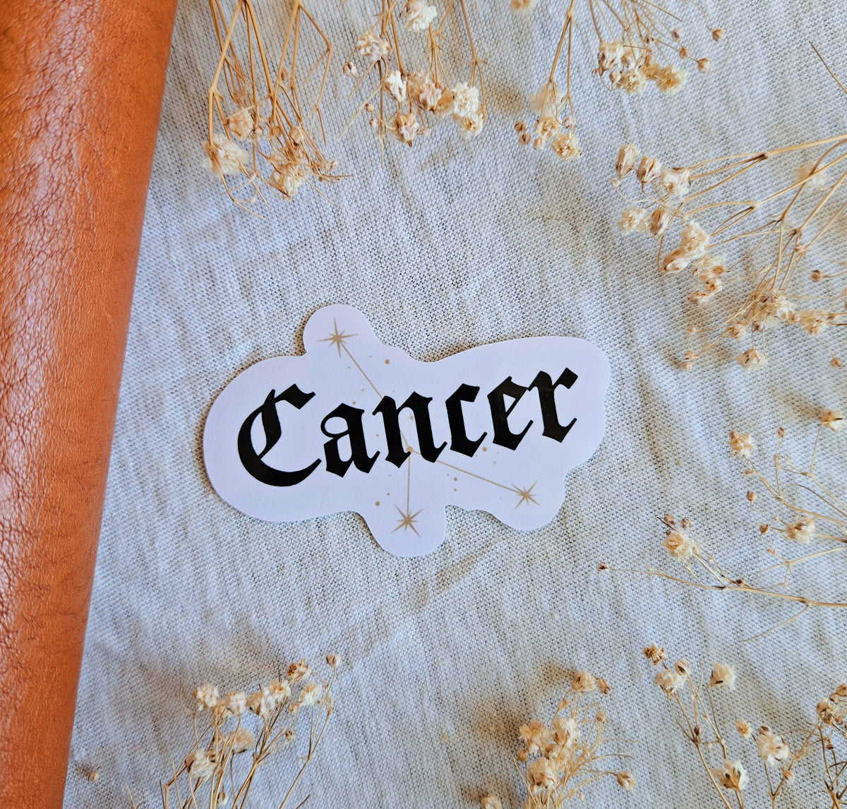 Zodiac Vinyl Sticker