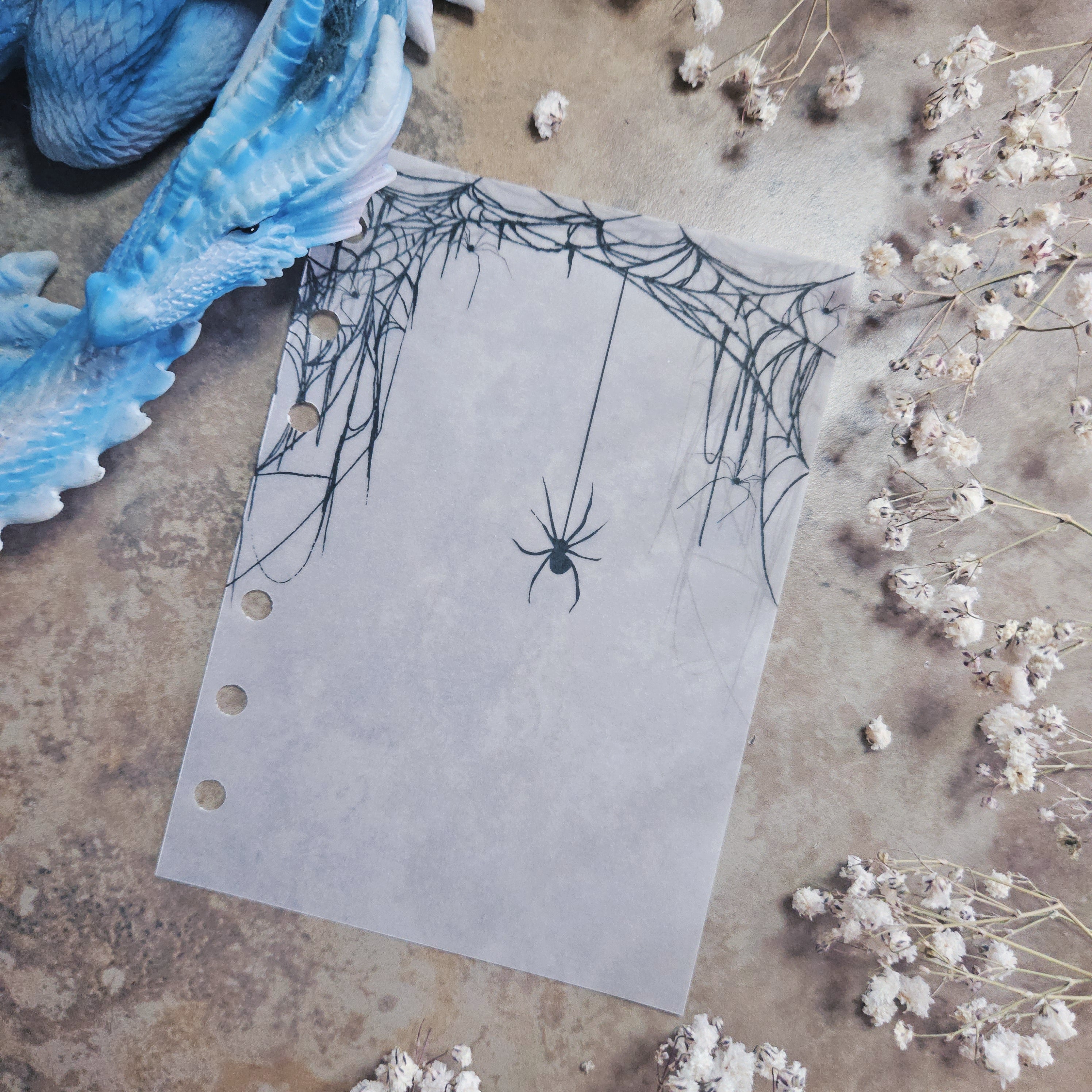 Spiderweb Vellum Dashboard