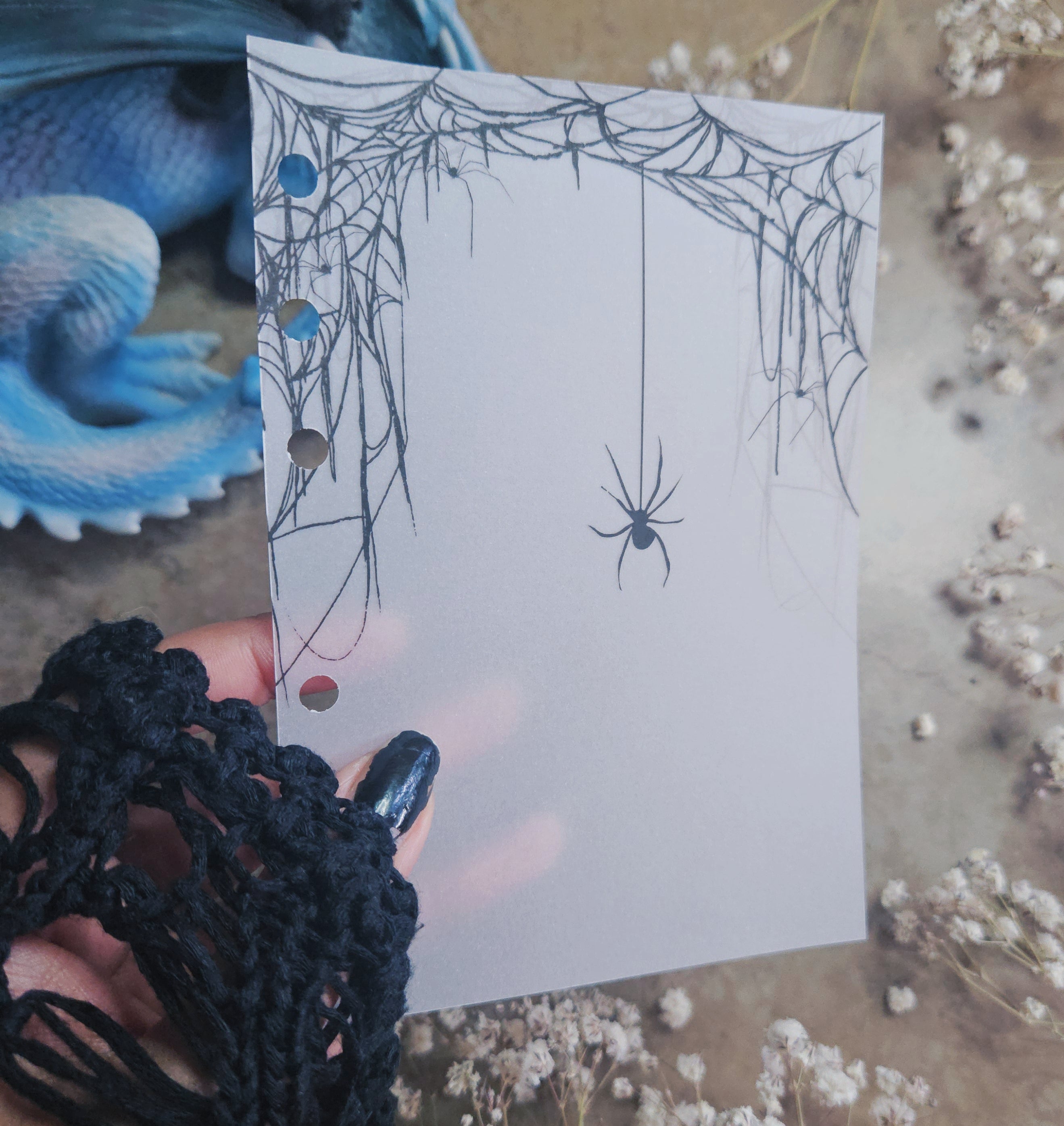 Spiderweb Vellum Dashboard