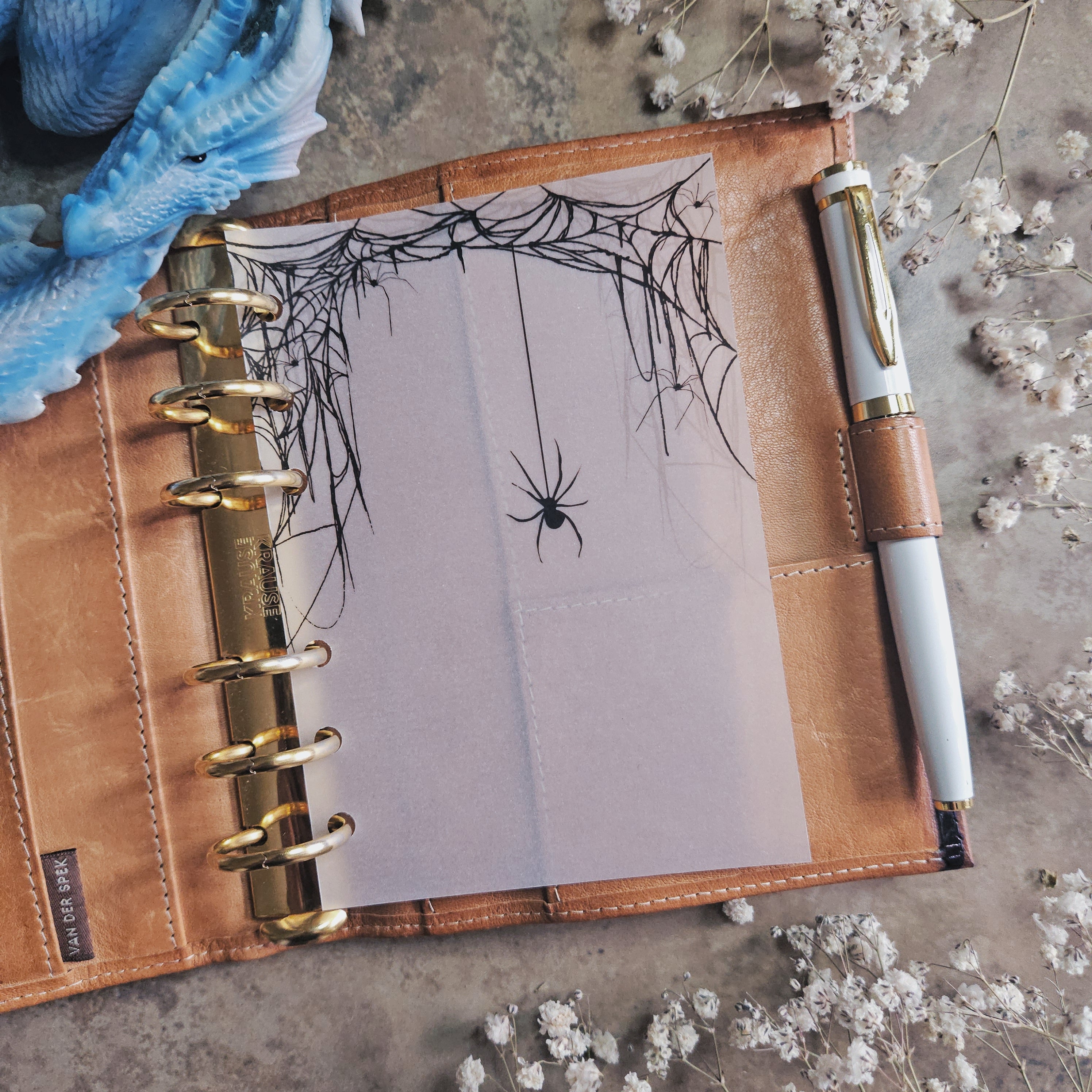 Spiderweb Vellum Dashboard